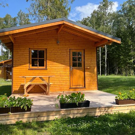 Marika Puhkekuela - Metsanurga Oeoemaja "Shared Bathroom" Nova Exteriér fotografie