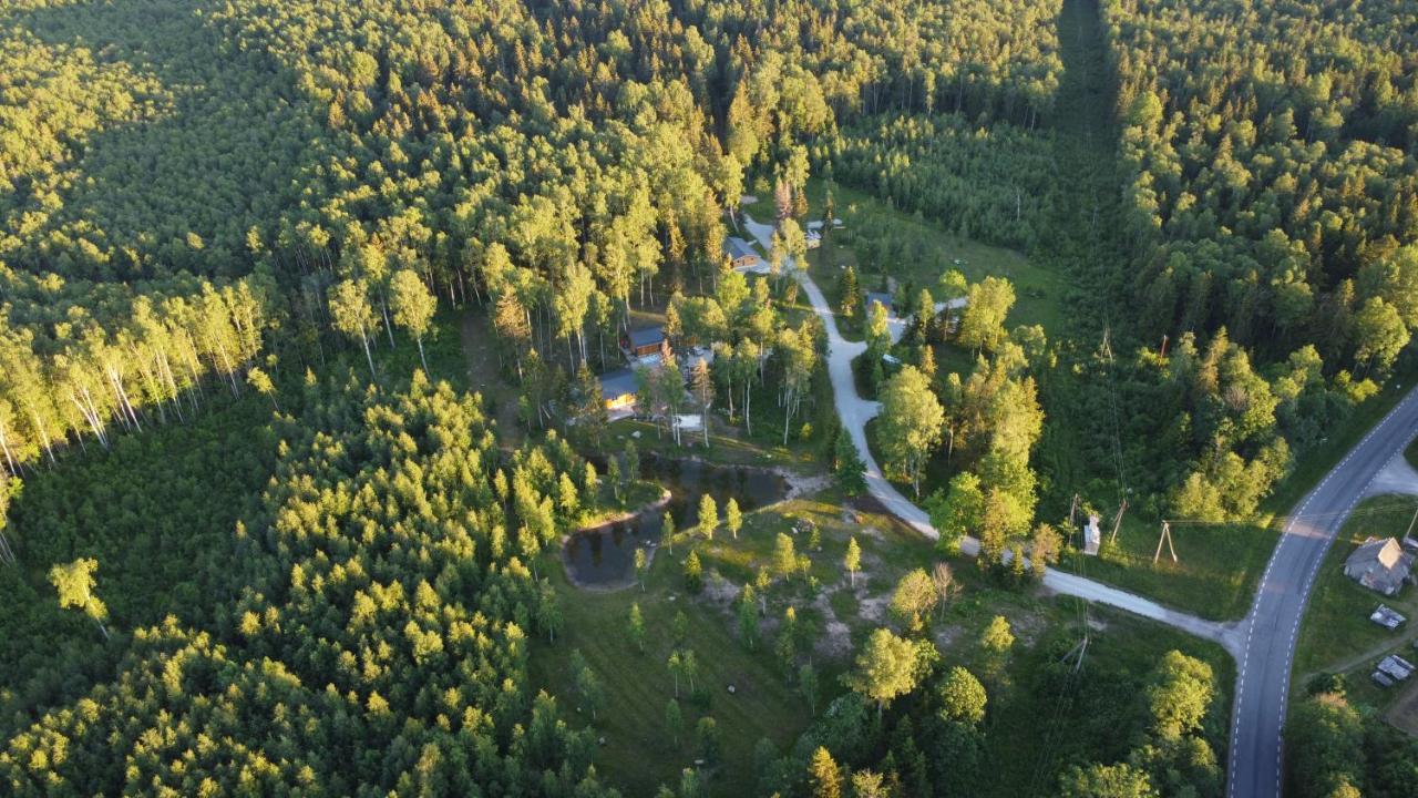 Marika Puhkekuela - Metsanurga Oeoemaja "Shared Bathroom" Nova Exteriér fotografie
